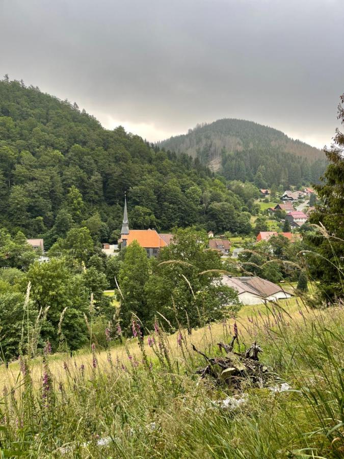 Gemuetliches Apartment Mit Kamin Und Wohnkueche Herzberg am Harz Εξωτερικό φωτογραφία