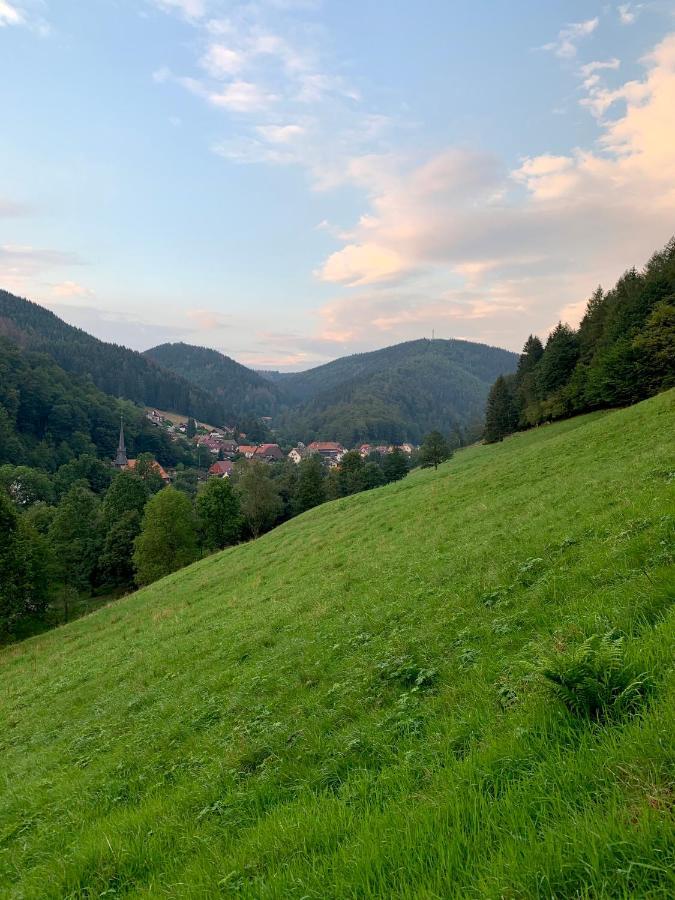 Gemuetliches Apartment Mit Kamin Und Wohnkueche Herzberg am Harz Εξωτερικό φωτογραφία
